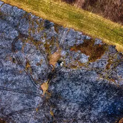 March 2020 (Shaker Village of Plesant Hill)